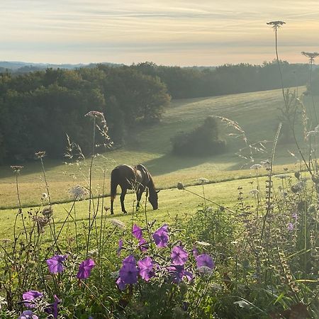 فيلا Domaine De Cazal - Gite 2 Pers Avec Piscine Au Coeur De 26 Hectares De Nature Preservee سان-سيبريان المظهر الخارجي الصورة