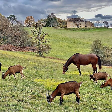 فيلا Domaine De Cazal - Gite 2 Pers Avec Piscine Au Coeur De 26 Hectares De Nature Preservee سان-سيبريان المظهر الخارجي الصورة