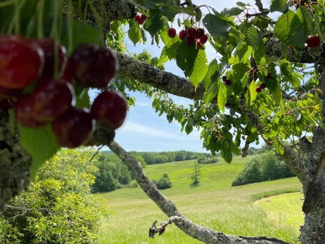 فيلا Domaine De Cazal - Gite 2 Pers Avec Piscine Au Coeur De 26 Hectares De Nature Preservee سان-سيبريان المظهر الخارجي الصورة